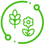 search_icon