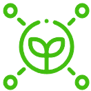 search_icon